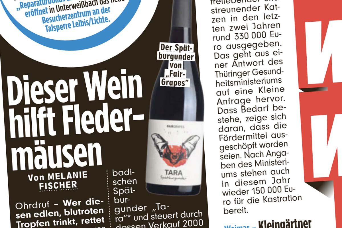 BILD berichtet über TARA