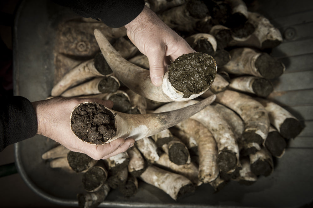 Was ist biodynamischer Weinbau?