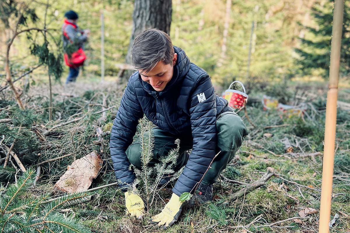2000 Bäume gepflanzt in Ketteldorf