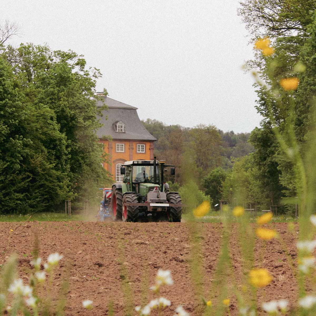 2880 Quadratmeter Bienenwiese gesät