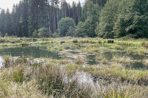 3200 € für Feuchtbiotope
