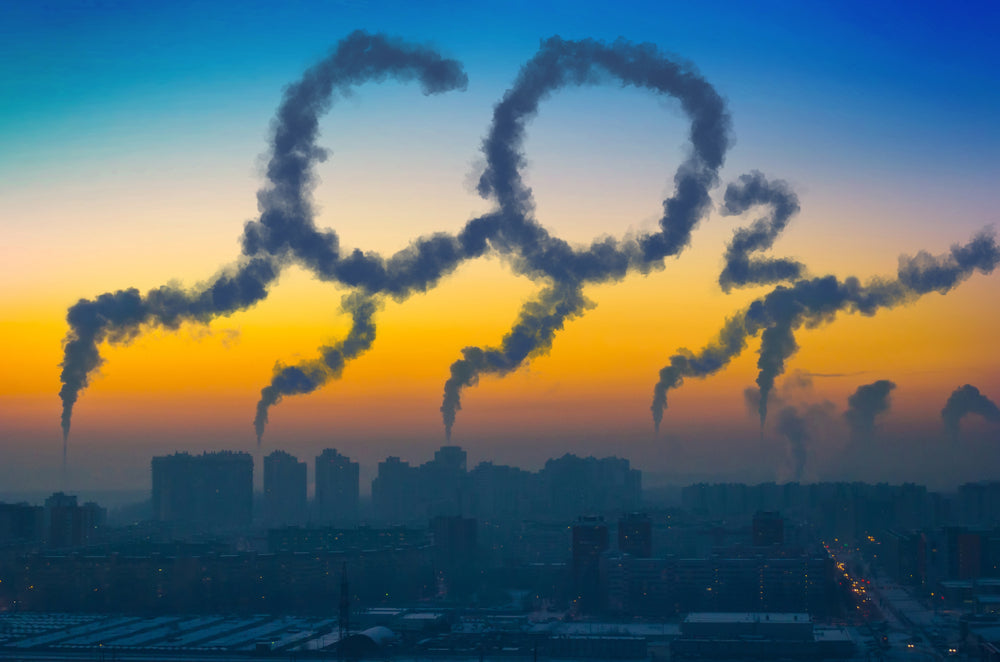 Wie viel CO2 verursacht eine Flasche Wein?