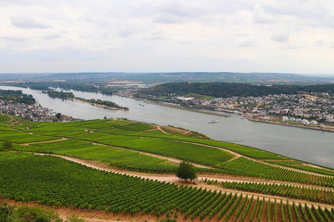 Für welche Weine ist das Weinanbaugebiet Rheingau bekannt?