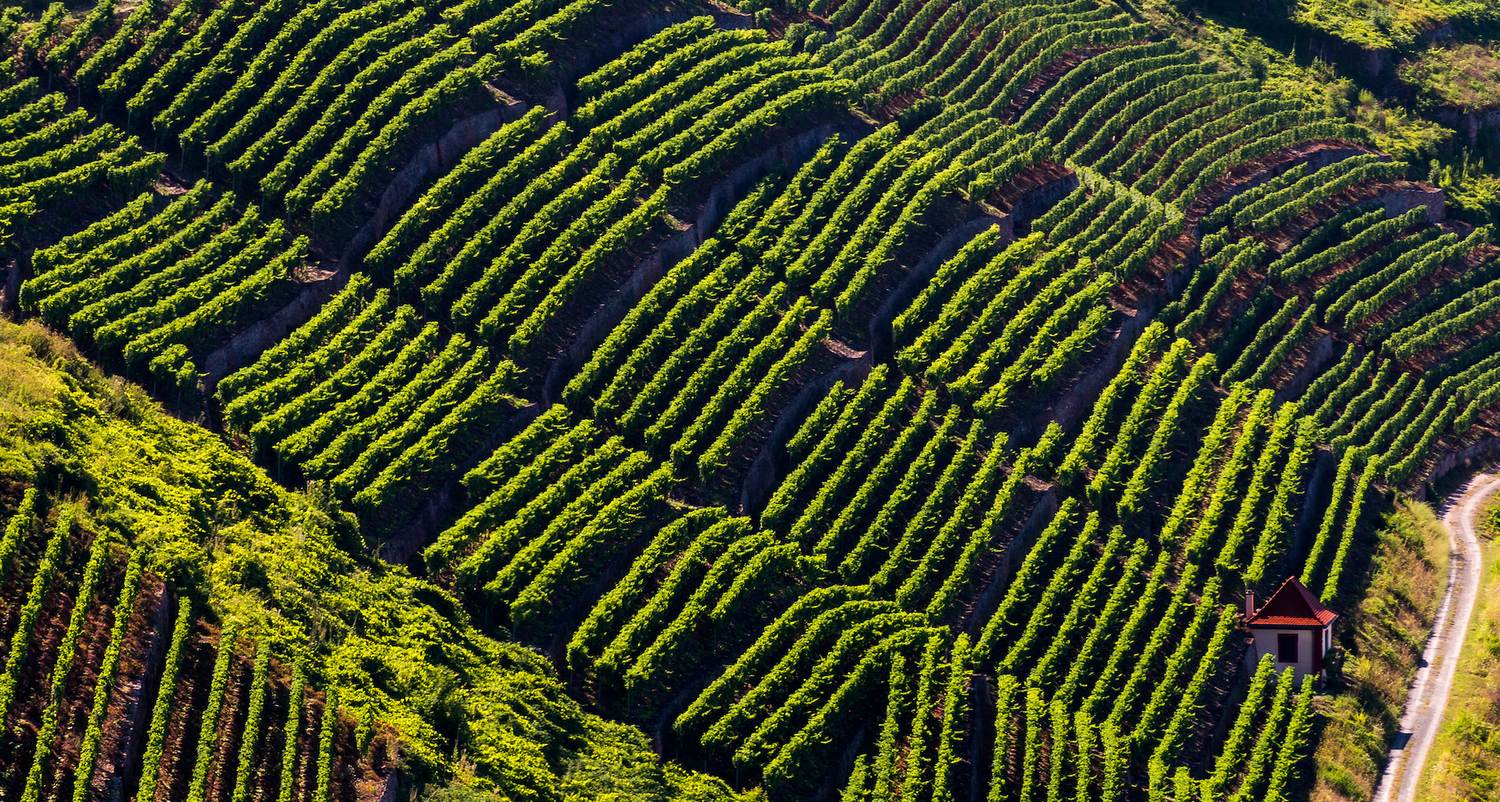 Was ist die Alte Weinwelt?