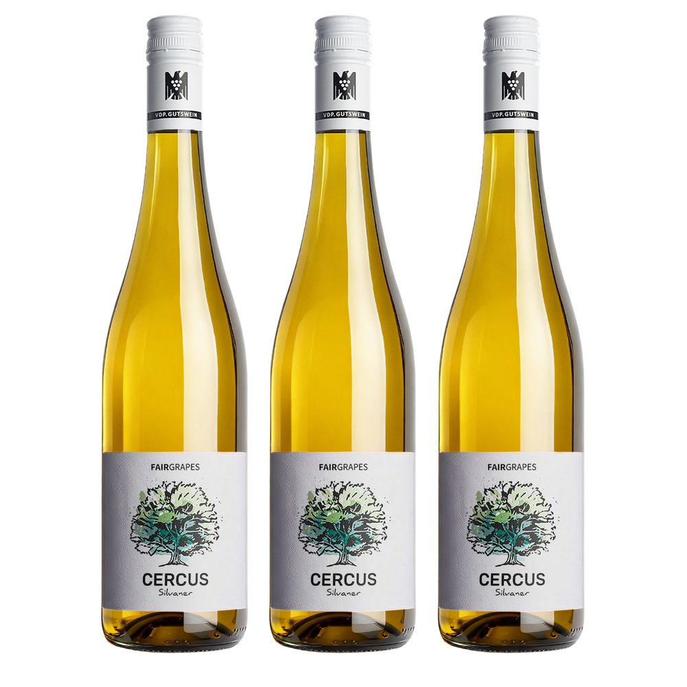 3 × CERCUS Silvaner
