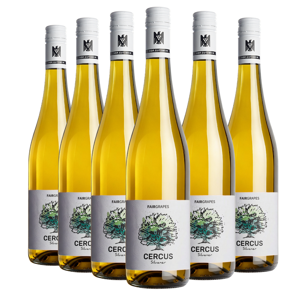 6 × CERCUS Silvaner