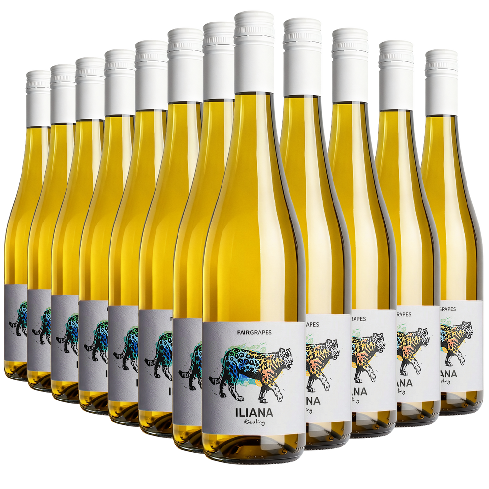 12 × ILIANA Riesling