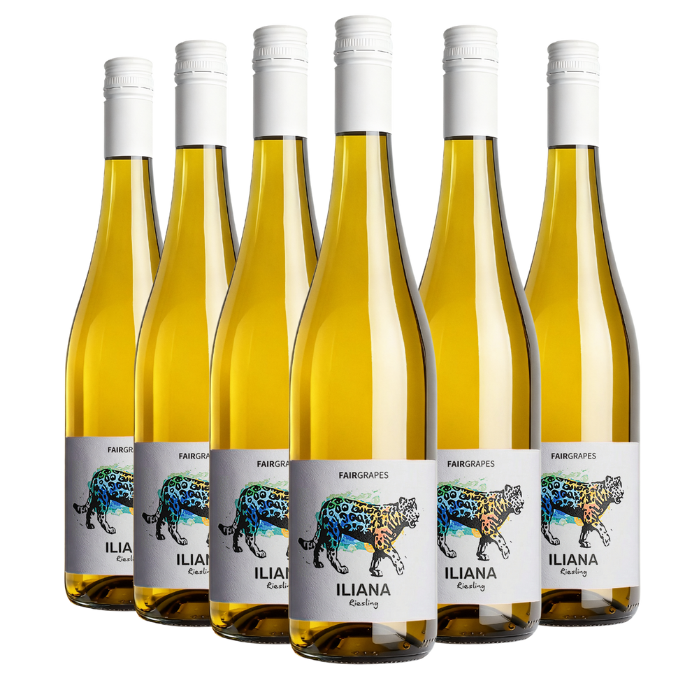 6 × ILIANA Riesling