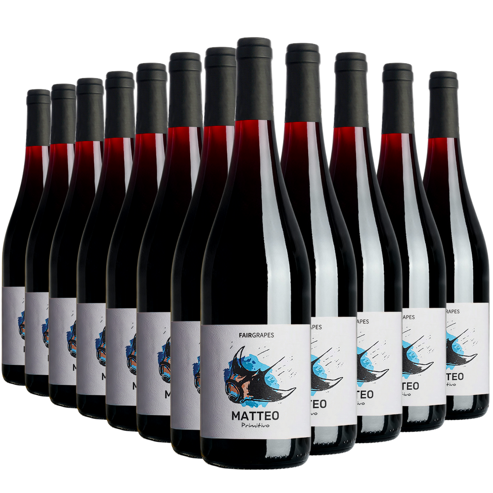 12 × MATTEO Primitivo