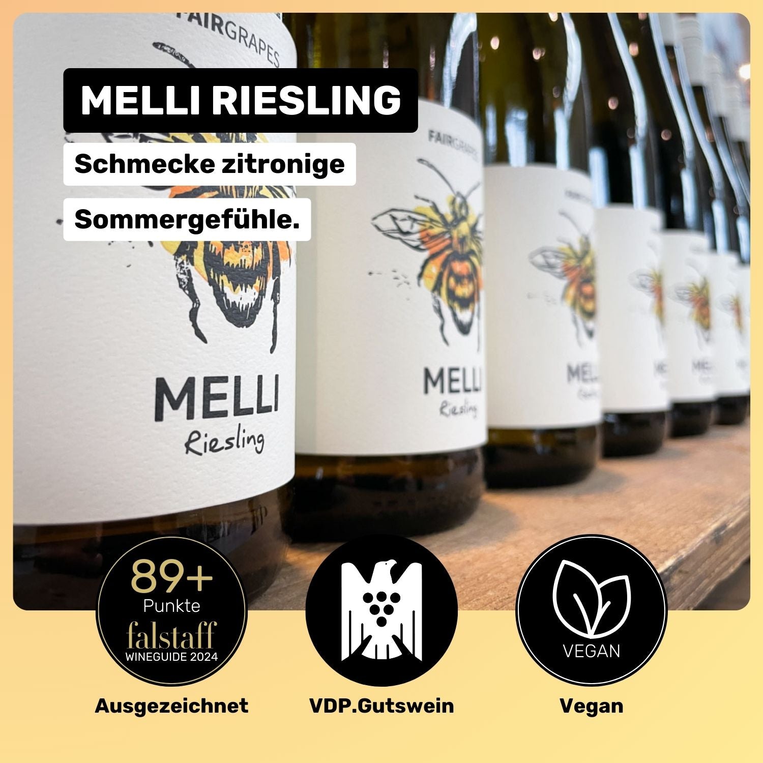 Rieslingpaket