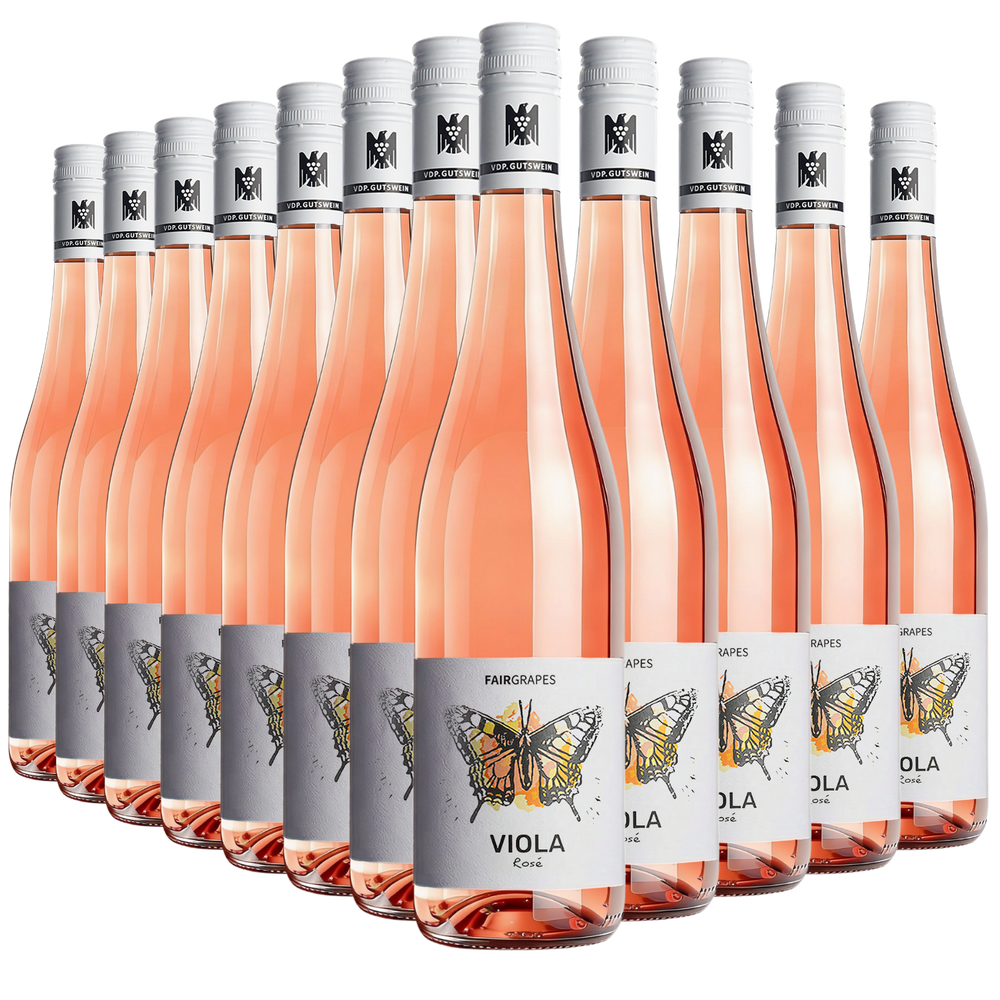 12 × VIOLA Rosé