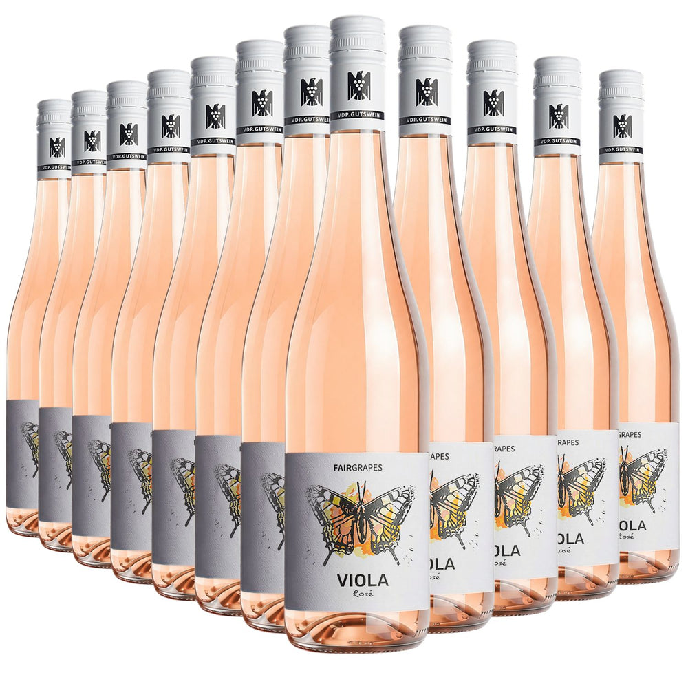 12 × VIOLA Rosé