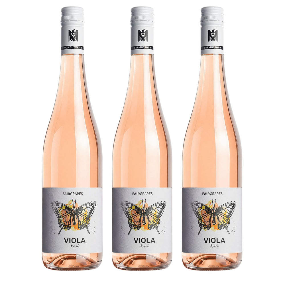 3 × VIOLA Rosé