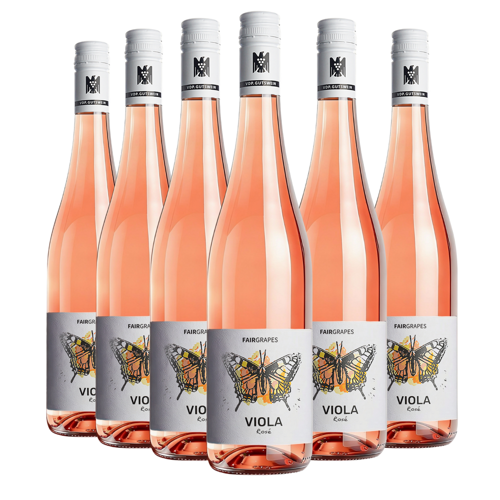 6 × VIOLA Rosé