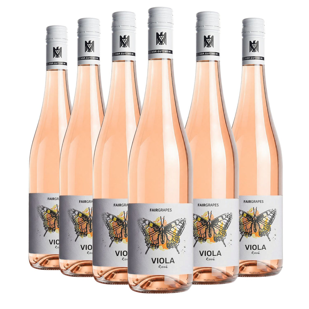 6 × VIOLA Rosé