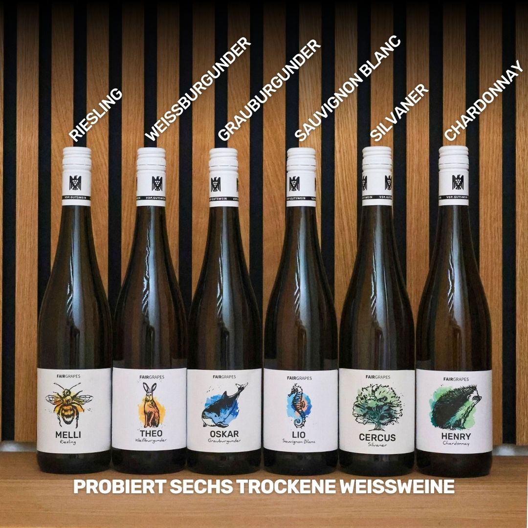 Weinprobe